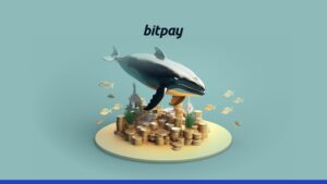 Armazene sua frase-semente criptográfica como uma baleia | BitPay
