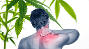 Study: Medical Cannabis Reduces Neuropathic Pain