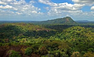Surinam tar ledningen när det gäller att sälja koldioxidkrediter enligt Parisavtalet