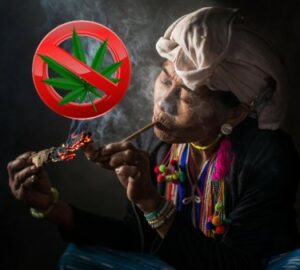 タイ、娯楽用大麻を閉鎖へ？ 首相は成人向け大麻の使用を禁止すると国連に告げた！