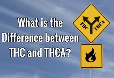DIFFERENCE BETWEEN THC AND THCA