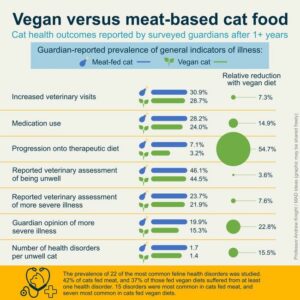 Veganska katter utmanar köttätande förväntningar
