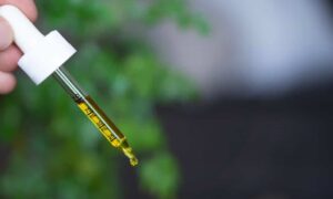 What To Know About Mixing CBD And Alcohol