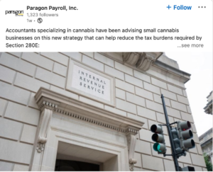 What to Post on LinkedIn (and Examples of Cannabis Companies Setting the Standard) | Cannabiz Media