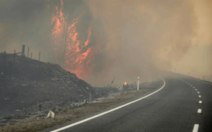 Умови лісових пожеж можуть бути найгіршими за останні 25 років
