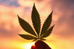 Gesetzgeber in Wisconsin legen Gesetzesentwurf zur Legalisierung von Cannabis vor