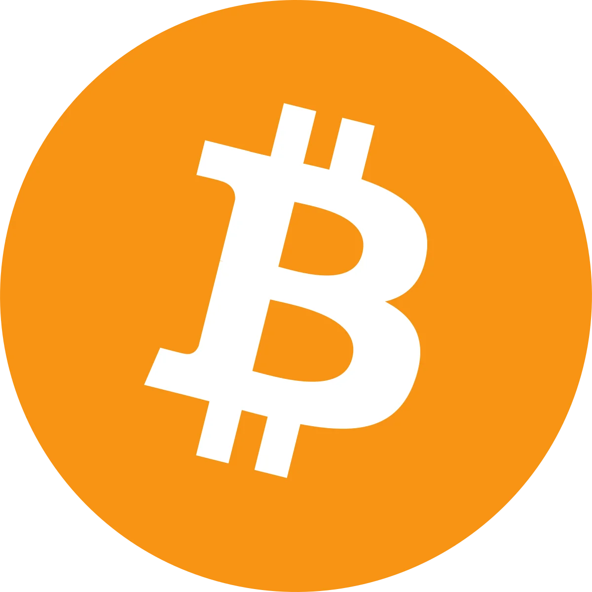La mejor criptomoneda para invertir: Bitcoin