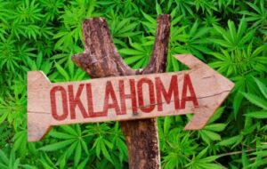 2,600 dispensarios y 9,000 licencias de cultivo Más tarde, Oklahoma comienza a tomar medidas enérgicas contra el cannabis