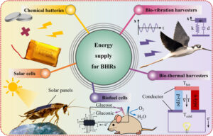 Eine Überprüfung der Energieversorgung für Biomaschinen-Hybridroboter