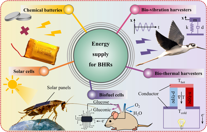 Katsaus biokonehybridirobottien energiantoimituksiin