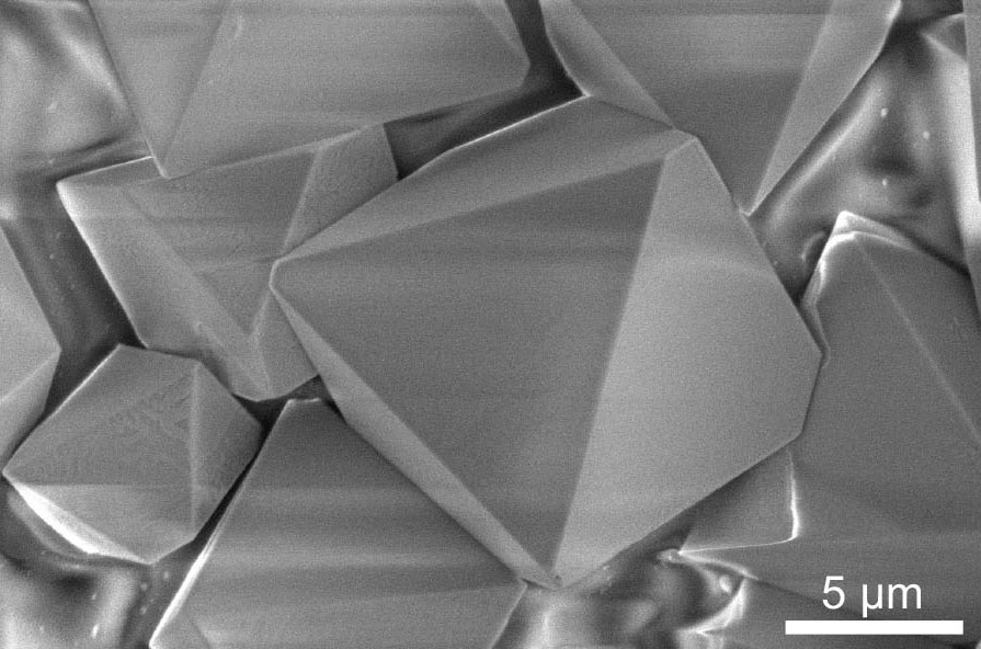Svepelektronmikroskopbild av enkristaller med sex element. Kristallerna är bildade av byggstenar av "multielement bläck", den första högentropi halvledaren som kan bearbetas vid låg temperatur eller rumstemperatur