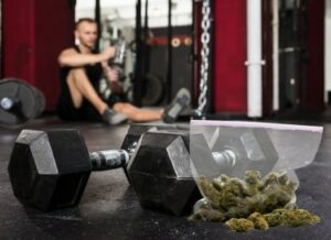 Atleter siger, at cannabis er bedst til træningsrestitution, mælkesyreopbygning og muskelreparation ifølge ny undersøgelse
