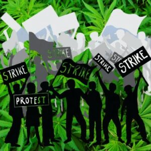 Arbeiter der Autogewerkschaft streiken und erhalten 25 % Rabatt in ihrer örtlichen Marihuana-Apotheke in Michigan