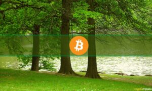 Bitcoin 'Başladı', BTC 29 Bin Doları Geçerken İddia Analizi