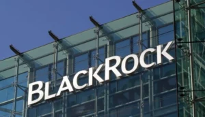 BlackRock CEO는 암호화폐 랠리가 소문이 아닌 "품질을 향한 비행"을 의미한다고 말합니다 - Bitcoinik