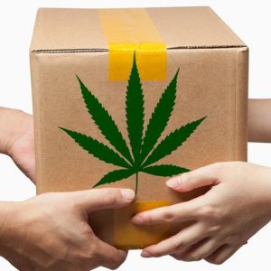 Cannabis Delivery & Transportation Best Practices | Green CulturED