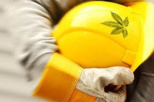 Cannabis Industry Safety & Preventing OSHA Citations | Green CulturED