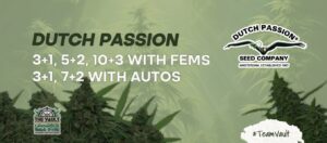 Dutch Passion – 150 Seeds Giveaway, Promo and Freebies!
