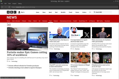 Ladybird displaying the BBC News website