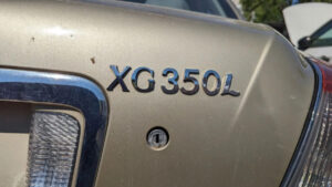 ジャンクヤードの宝石: 2004 ヒュンダイ XG350L