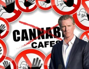당신을 위한 대마초 카페는 없습니다! - 캘리포니아 주지사 Newsom은 Golden State의 대마초 카페를 거부했습니다.