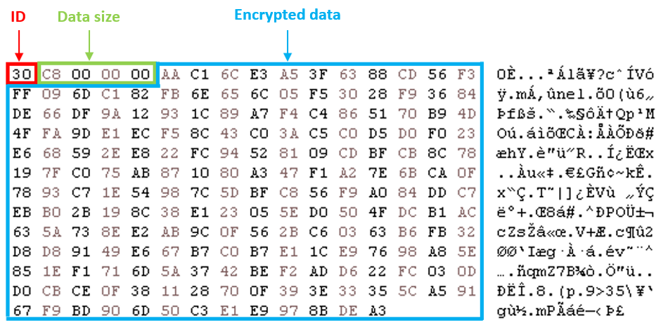 図 4 暗号化されたパケットの例