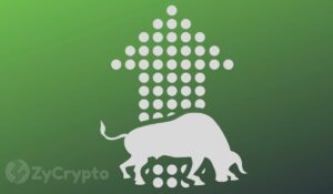 Over 30,000 BTC Flows Out of Exchanges as Investors Prepare for Next Bitcoin Bull Run
