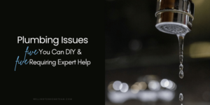 Plumbing Issues: 5 You Can DIY & 5 Requiring Expert Help