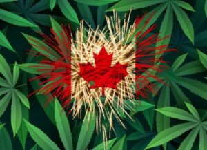 순수한 연기, 화재 없음 - 합법화 후 3년 동안 캐나다는 잘 지내고 있으며 안티팟 공포광들은 당황하게 됩니다