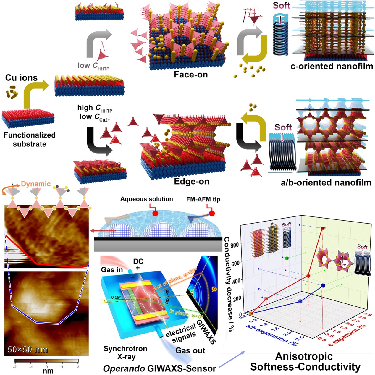 Researchers realize orientation control of conductive MOF nanofilms