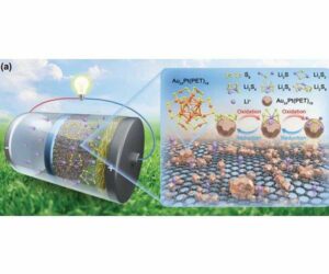 Revolutionerande energilagring: Nanokluster av metall för stabila litium-svavelbatterier