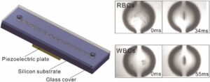 Tutkijat kehittävät mikrohiukkasten akustista 3D-loukkua virtaavassa nesteessä