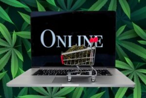 Salg til mindreårige, forudbetalte betalingskort, forsendelse til alle stater - illegale cannabisbutikker blomstrer online!