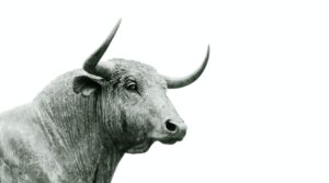 Signs of Another Bitcoin Bull Run Taking Shape?