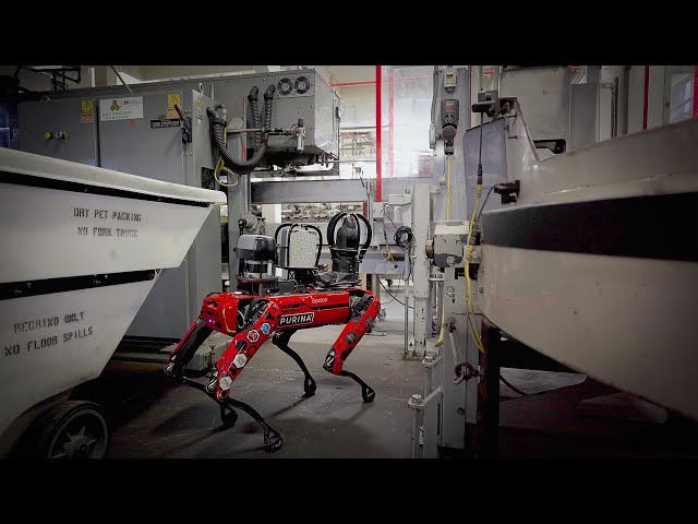 Spot het uitvoeren van autonome inspecties in de Nestlé Purina-fabriek.
