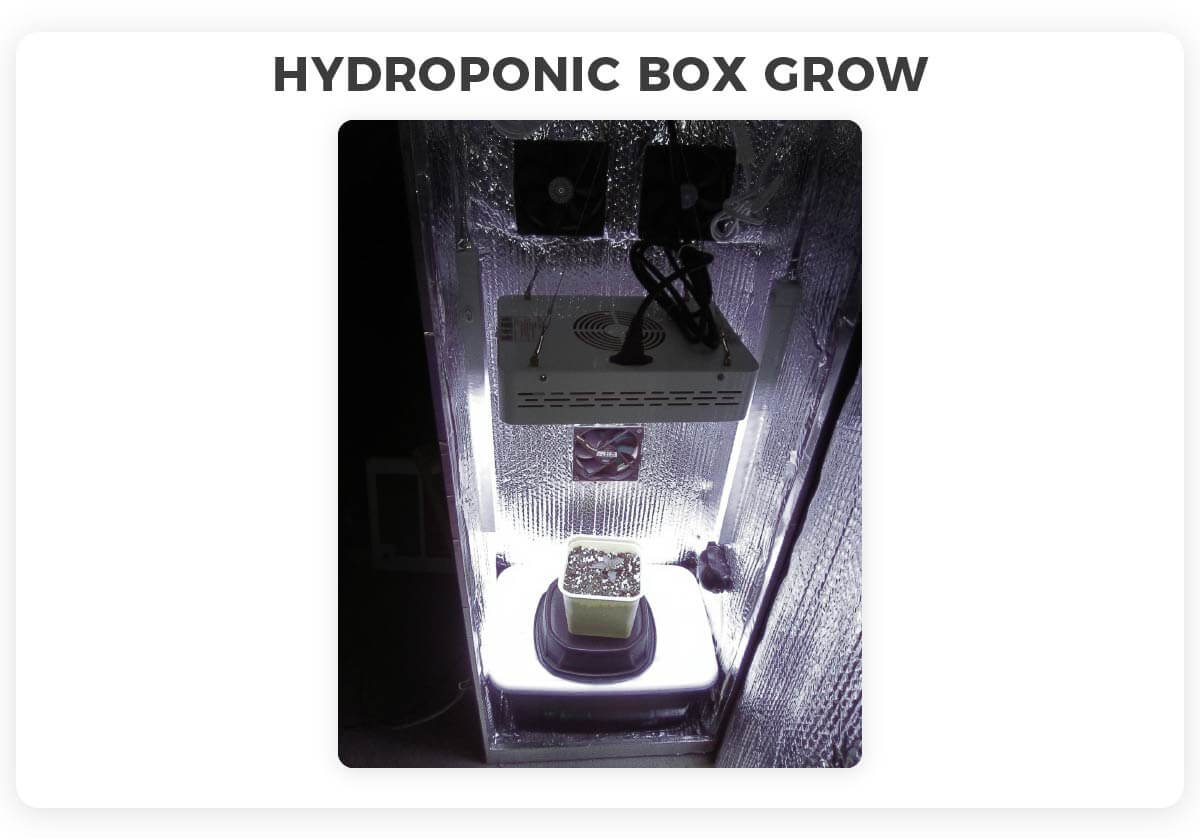 Hydro grow box