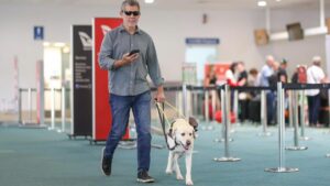 L'aéroport de Sunshine Coast installe une nouvelle technologie de navigation accessible