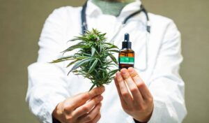 Enquête : 65 % sont prêts à consommer du cannabis sous la direction d'un clinicien