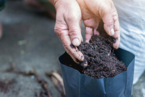 Les 7 meilleurs kits d'analyse de sol pour les cultivateurs en 2023