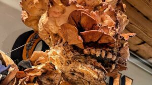 Diese Brotskulptur „The Last of Us“ verleiht der Hefe-Infektion eine ganz neue Bedeutung