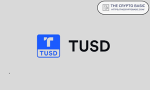 TUSD Stablecoin-udsteder lider af større tredjepartssikkerhedsbrud
