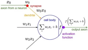 Odklepanje moči aktivacijskih funkcij v nevronskih mrežah