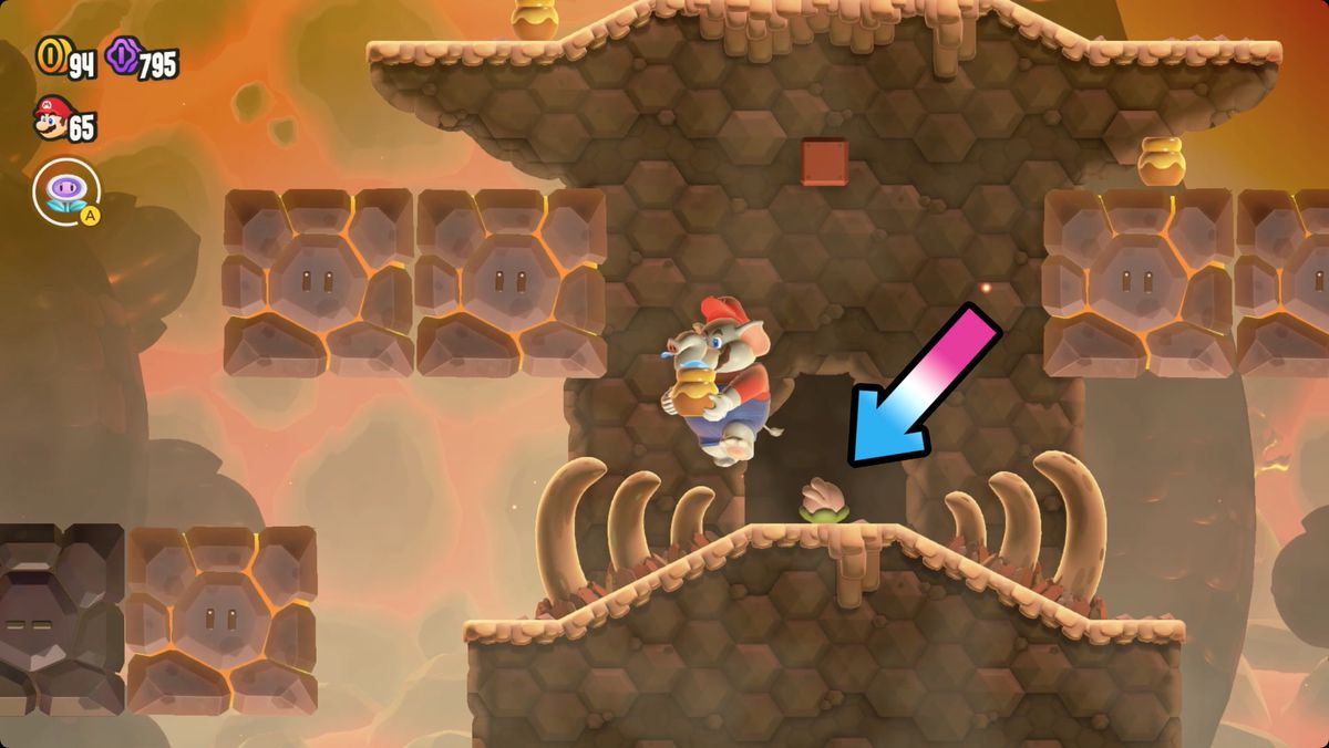 Super Mario Bros. Wonder Hot-Hot Hot! screenshot showing the Wonder Flower location.