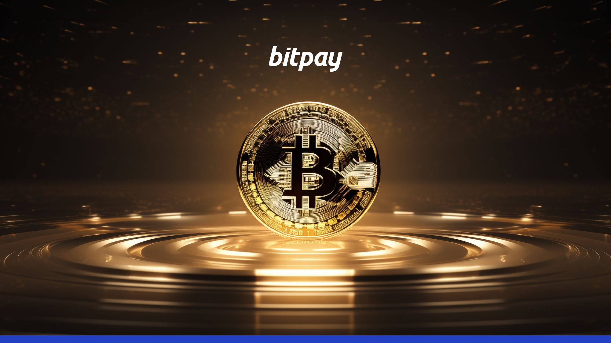 Hva er Bitcoin-dominans? En komplett guide [2023] | BitPay