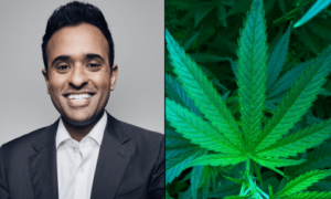 Qual é a posição de Vivek Ramaswamy sobre a cannabis?