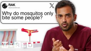 Чому комарі кусають лише деяких людей?