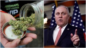 Varför husmajoritetsledare Steve Scalise är dåliga nyheter för cannabis