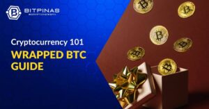 Insvept Bitcoin | WBTC-guide och användningssätt | BitPinas