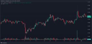 XRP Price Bloodbath On The Horizon? Report Casts Doubt On Rally