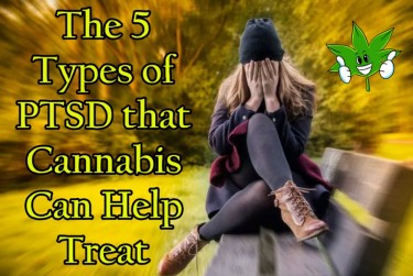 TYPES OF PTSD CANNABIS HELPS
